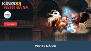 Sảnh Ws168 Đá Gà - Sân chơi chinh phục chọi gà đỉnh cao